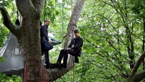 Thomas Brail suspendu dans un arbre