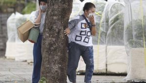 Deux personnes s’abritant du vent près d’un arbre