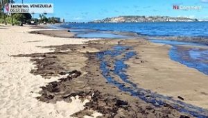 Une plage recouverte d’une marée noire