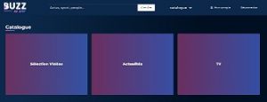 Des catalogues de Buzz No Limit